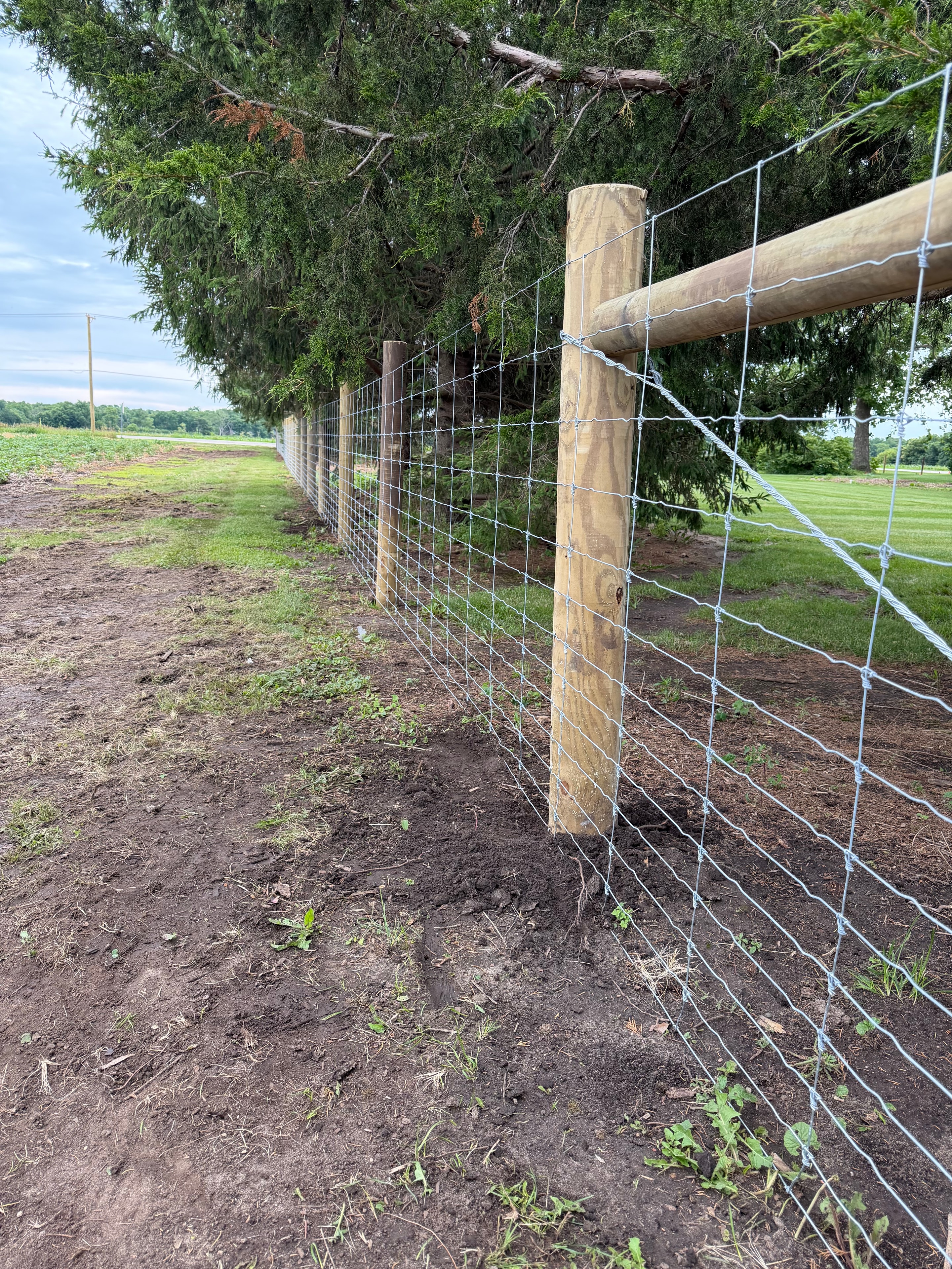 Fencing project 15