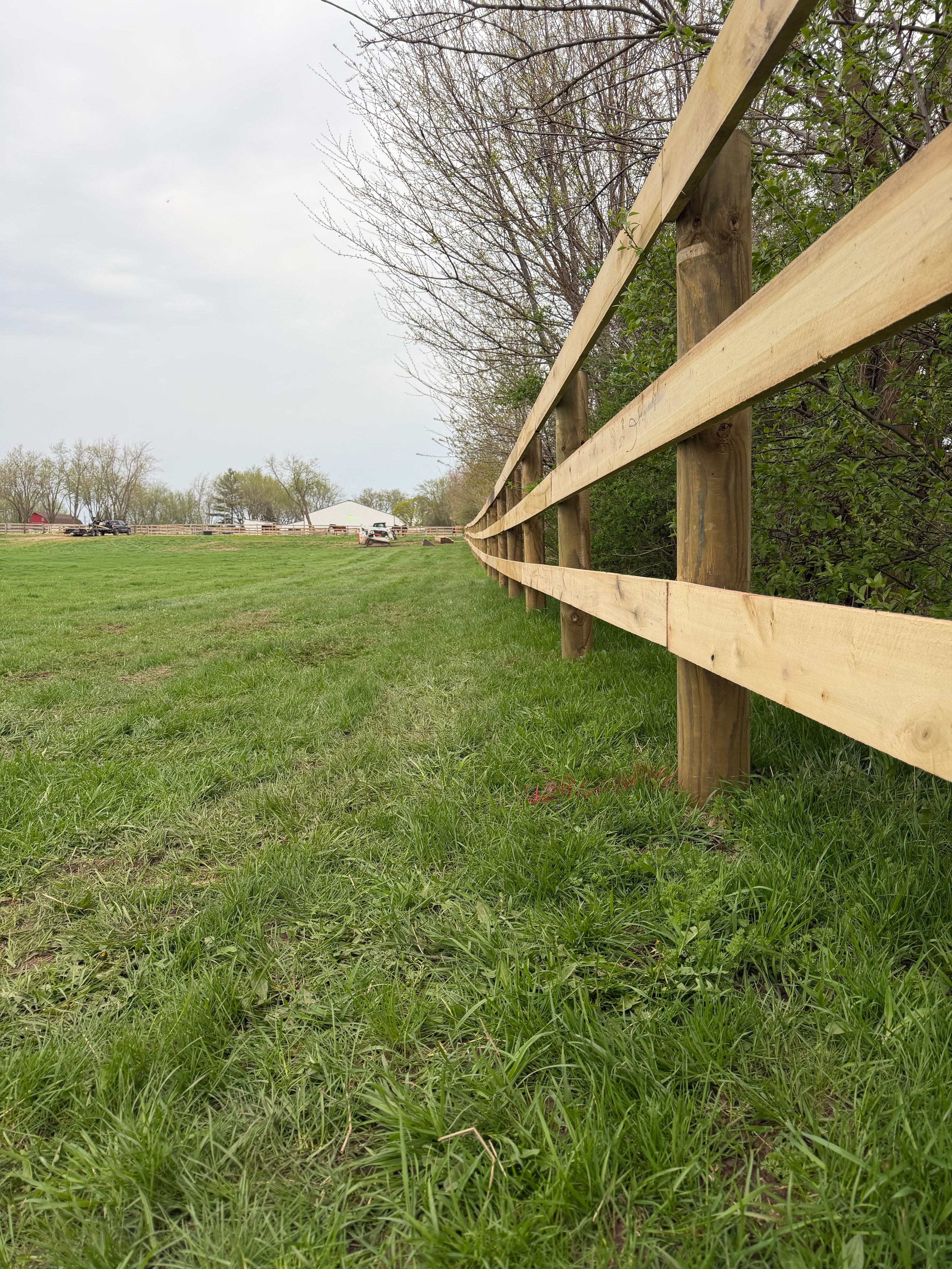 Fencing project 16