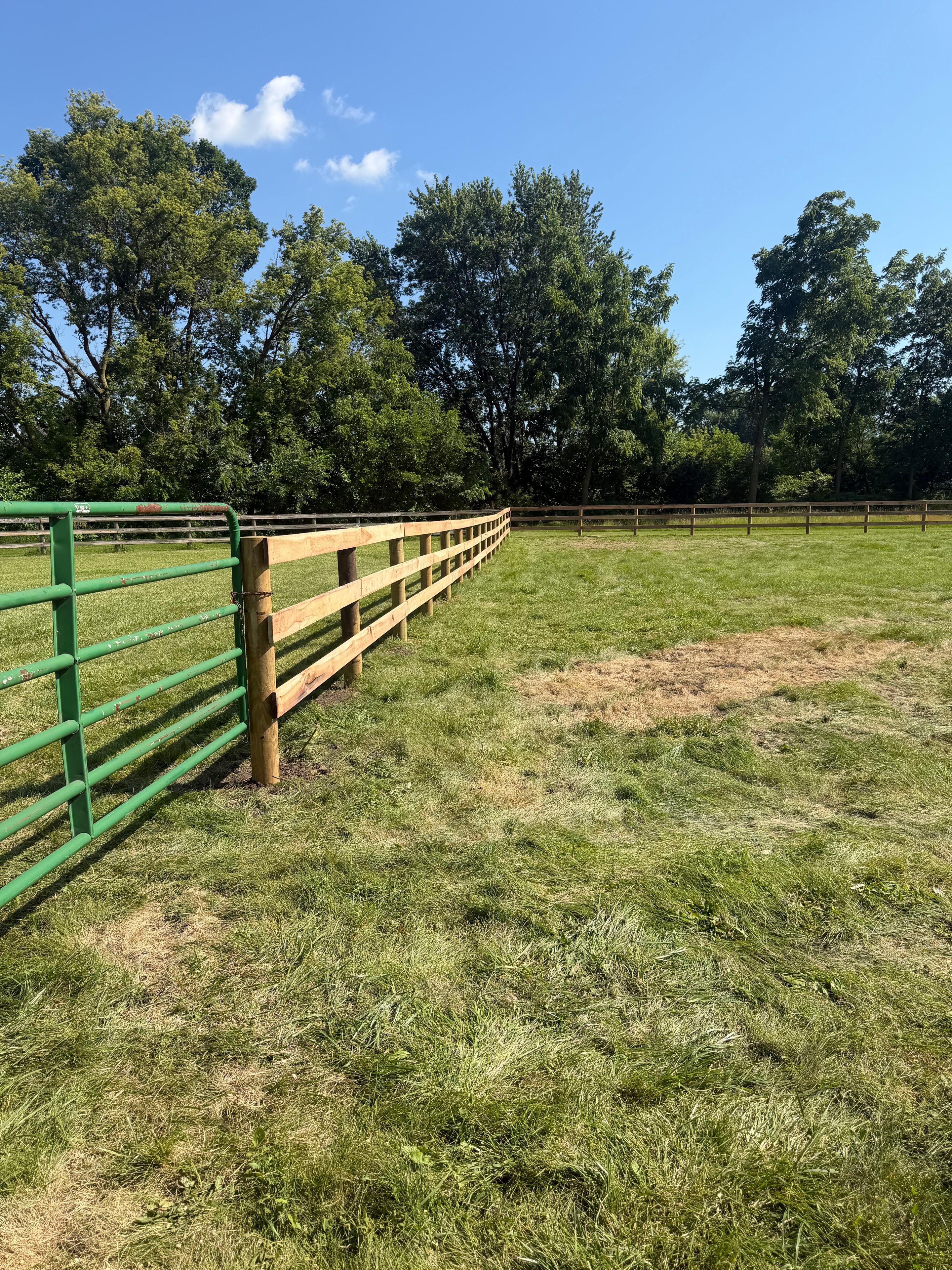 Fencing project 3