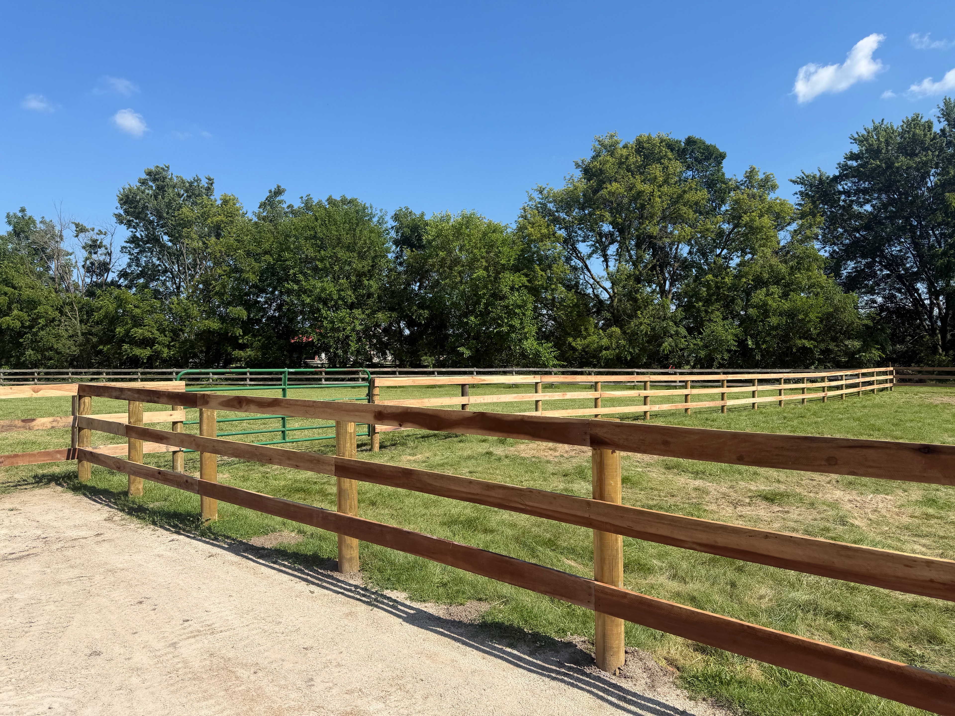 Fencing project 5